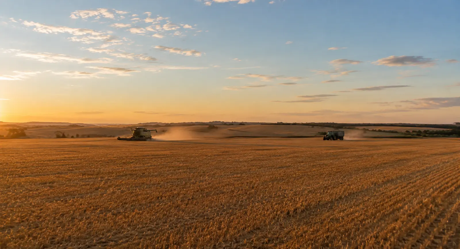 Moisson au coucher du soleil - moissonneuse-batteuse et tracteur dans un champ